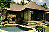 bali33051705.gif (7461 �o�C�g)
