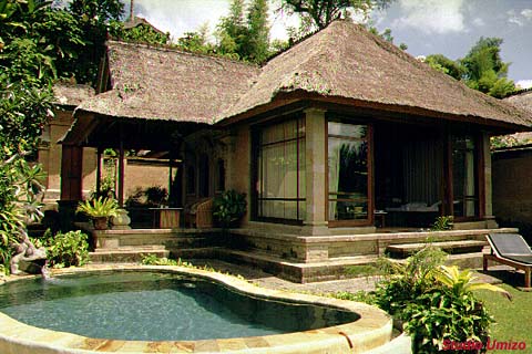 bali33051705.jpg (91054 �o�C�g)
