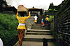 bali655702.gif (6323 �o�C�g)