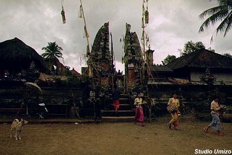 bali9401201.jpg (64963 �o�C�g)