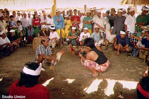 bali940234.jpg (84456 �o�C�g)