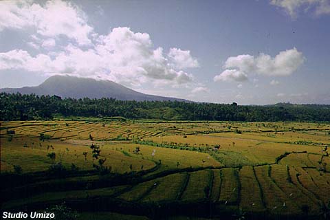 bali940520.jpg (43640 �o�C�g)